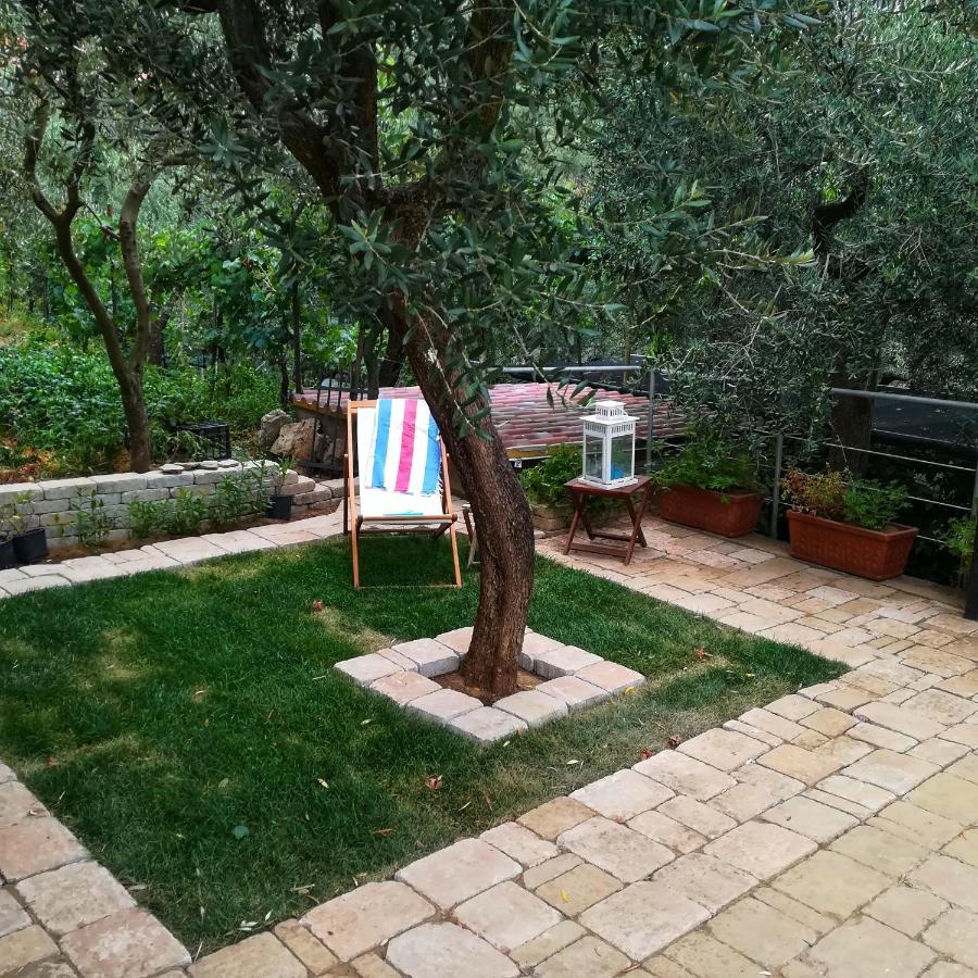 ויקו אקוונסה La Mandra, Cottage Tra Gli Ulivi מראה חיצוני תמונה
