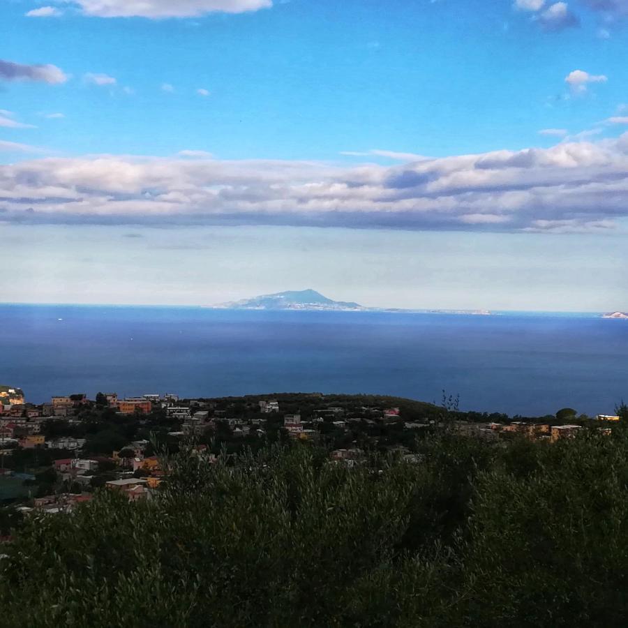 ויקו אקוונסה La Mandra, Cottage Tra Gli Ulivi מראה חיצוני תמונה