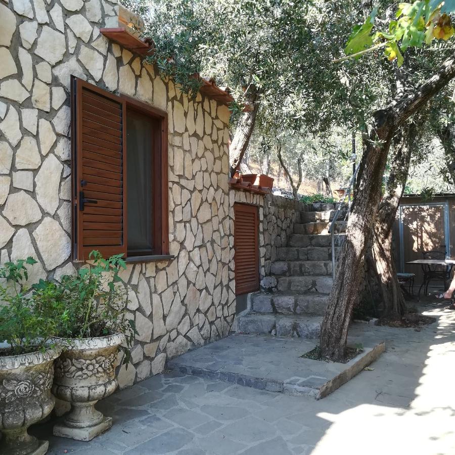 ויקו אקוונסה La Mandra, Cottage Tra Gli Ulivi מראה חיצוני תמונה