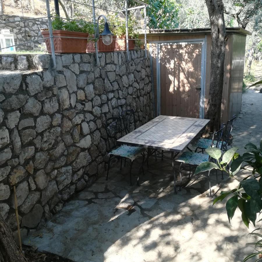 ויקו אקוונסה La Mandra, Cottage Tra Gli Ulivi מראה חיצוני תמונה